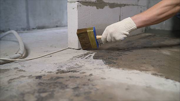 Top rated local Crawl Space Encapsulation specialists in Hymera, IN